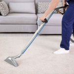 6 Eco-Friendly Carpet Cleaning Methods